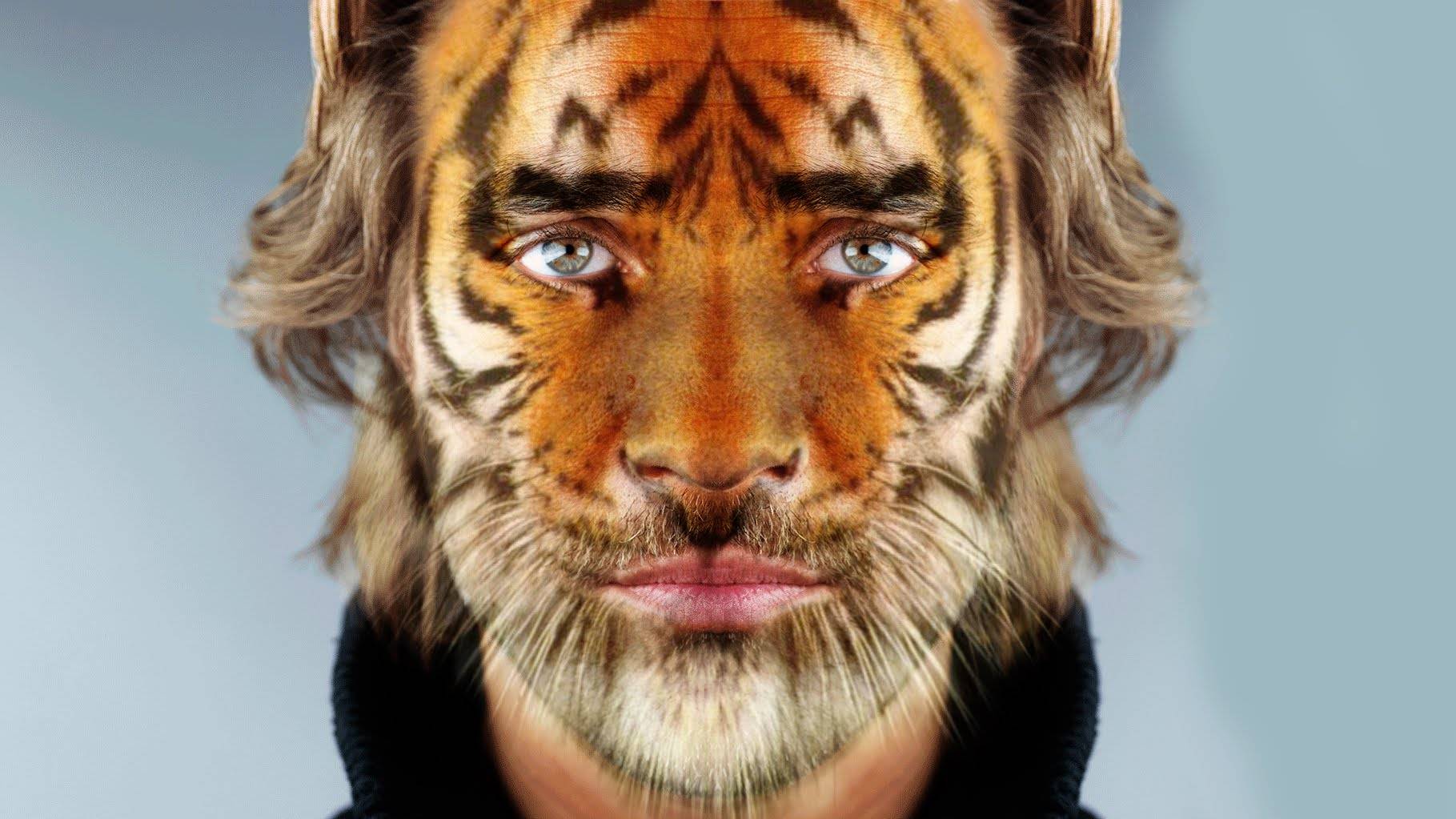 Фотошоп тигр на лицо